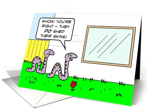 Do people shed skins like snakes do? card (810824)