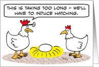 Chicken doctor induces hatching of egg. Congratulations! card