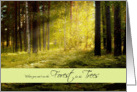 Can’t See the Forest for the Trees Encouragement card