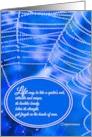 The Spider Web of Life card