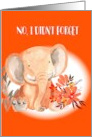 Didn’t Forget Your Birthday Elephant card