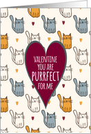 Purrfect Valentine For Him card