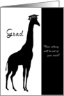 Black and White Graduation Giraffe card