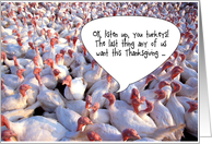 Thanksgiving Stuffed Turkey Humor card