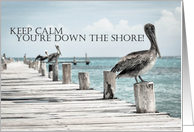 Keep Calm You're...
