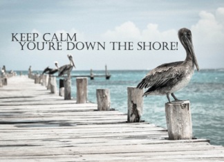 Keep Calm You're...