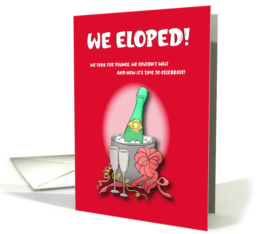 We Took the Plunge Elopement Announcement card (1725434)