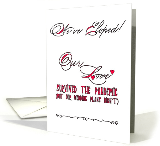 Pandemic Elopement Announcement card (1725468)