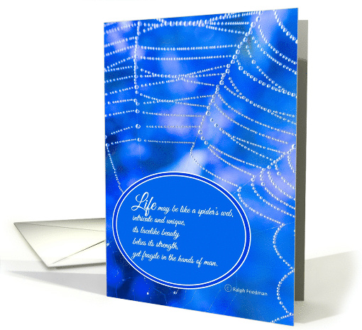 The Spider Web of Life card (1732402)