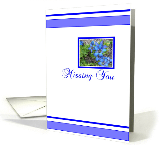 Blue Floral Missing You card (245589)