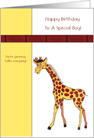 Birthday Giraffe for Little Boy card