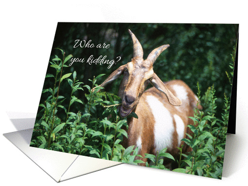 Who Are You Kidding Birthday Humor card (950652)