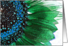 Sunflower - Green and Blue card