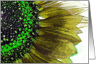 Sunflower - Yellow and Green card