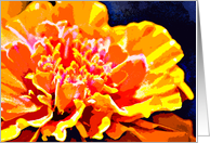 Vibrancy card