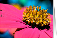 Hot Pink card
