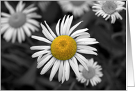 Imperfection card