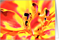 Fire Flower card