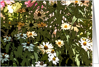 Daisy Patch card