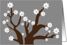 Blooming Tree - Gray card