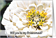 Will You Be My Bridesmaid? card