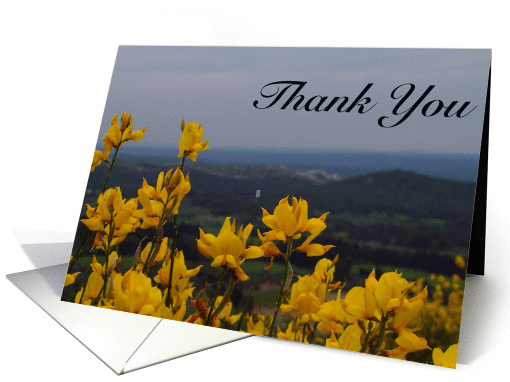 Yellow Flowers - Thank You card (191760)