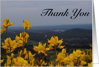 Yellow Flowers - Thank You card