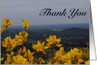 Yellow Flowers - Thank You card