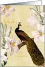 Lilies Peacock Birthday Card