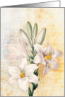 Lilies Birthday Card