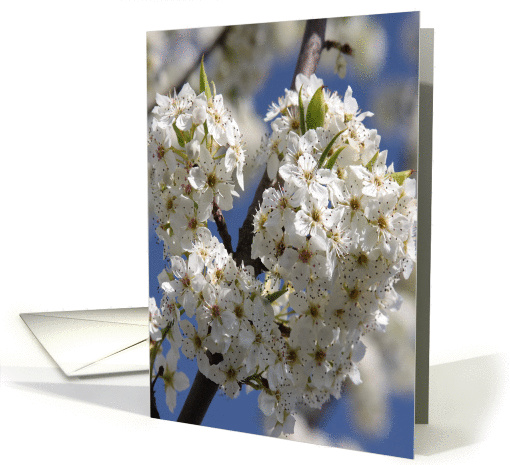 Love & Romance Nature's Heart card (607286)
