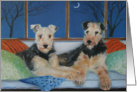 Anniversary Greetings - Airedales - Happy Anniversary - dogs - dales card