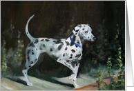 Dalmatian-Friend...