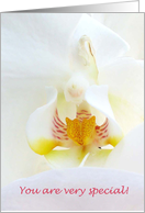 Orchid card