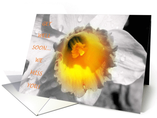 Get well flower card (195696)