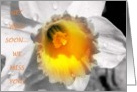 Get well flower card