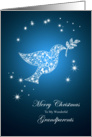 For grandparents,Dove of peace Christmas card