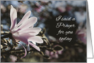 Magnolia Prayer card