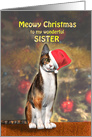 Sister, a Cute Cat in a Christmas Hat. card