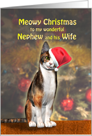 Nephew and Wife, a Cute Cat in a Christmas Hat. card