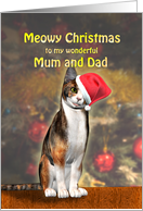 Mom and Dad, a Cute Cat in a Christmas Hat. card