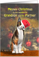 Grandson and Partner, a Cute Cat in a Christmas Hat. card