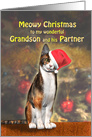 Grandson and Partner, a Cute Cat in a Christmas Hat. card