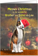 Brother and sister-in-law, a Cute Cat in a Christmas Hat. card