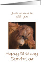 Son-in-Law Birthday, Orang Utan Jokes card