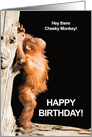 Cheeky Monkey Birthday card
