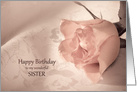 Sister, Birthday with a Pink Rose card