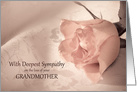 Sympathy Loss of Grandmother, Pink Rose card