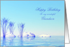 Grandson Birthday Blue Spa card