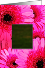 Add a Picture Thinking of You card